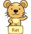 Rat