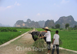 Yangshuo